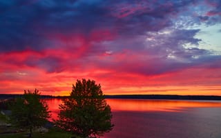 Картинка закат, озеро, природа, небо, деревья, пейзаж, цвета