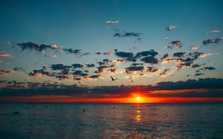 Картинка закат, море, небо, облака, пейзаж, природа, птицы