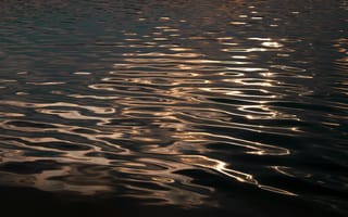 Картинка вода, отражение, волны, спокойствие, природа, пейзаж, темнота