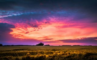Картинка закат, пейзаж, небо, поля, природа, цвета, облака