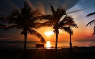 Картинка закат, пальмы, море, пейзаж, природа, отдых, спокойствие
