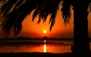 Картинка закат, пейзаж, природа, пальмы, озеро, солнце, горы, отражение, цвета, мир