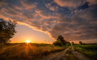 Картинка закат, природа, дорога, небо, пейзаж, поля, деревья, птицы
