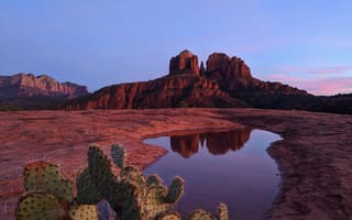 Картинка пейзаж, горы, природа, закат, отражение, кактусы, водоем, скалы, пустыня, красота