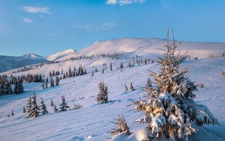 Картинка зима, снег, горы, лес, пейзаж, природа, холод