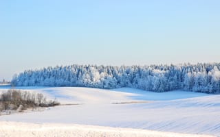 Картинка зима, снег, лес, пейзаж, природа, холмы, голубое небо