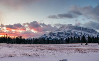 Картинка горы, снег, закат, природа, пейзаж, лес, зима