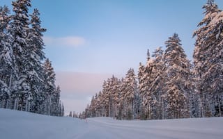 Картинка зима, снег, лес, дорога, пейзаж, природа, небо