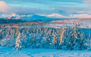 Картинка зима, снег, лес, пейзаж, горы, природа, холод