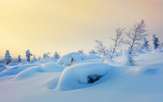 Картинка зима, снег, пейзаж, природа, лес, холода, деревья