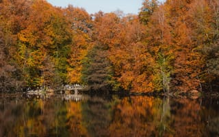 Картинка осень, пейзаж, природа, деревья, озеро, отражение, цвета