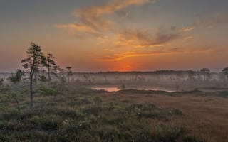 Картинка закат, природа, болото, деревья, пейзаж, туман, водоем