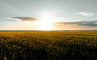 Картинка пейзаж, закат, поля, природа, солнце, небо, зеленый