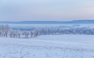 Картинка зима, снег, пейзаж, лес, холмы, мороз, природа