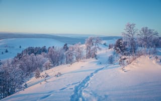 Картинка зима, снег, пейзаж, природа, лес, горизонт, холмы, мороз, путь, деревья