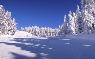 Картинка зима, снег, горнолыжный курорт, лес, пейзаж, небо, отдых