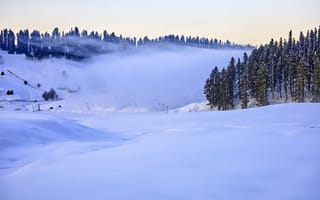 Картинка зима, снег, лес, пейзаж, природа, холод, туман