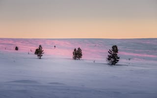 Картинка зима, снег, пейзаж, деревья, закат, природа, холод