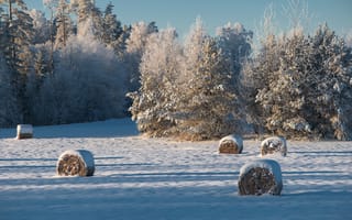 Картинка зима, снег, природа, лес, пейзаж, холмы, солома