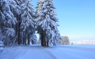 Картинка зима, снег, лес, деревья, пейзаж, природа, мир