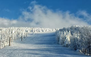 Картинка зима, снег, горнолыжный курорт, пейзаж, небо, деревья, отдых