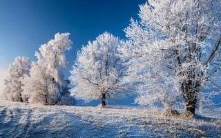 Картинка зима, снег, деревья, лед, пейзаж, холод, небо