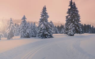 Картинка зима, снег, лес, деревья, пейзаж, природа, горизонт