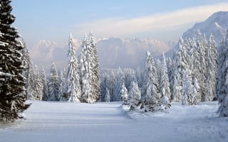 Картинка зима, снег, лес, горы, пейзаж, природа, холод