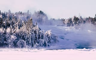 Картинка зима, снег, лес, природа, холод, пейзаж, мороз, туман