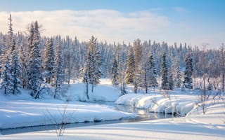 Картинка зима, снег, лес, природа, река, пейзаж, холод