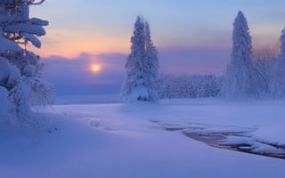 Картинка зима, снег, пейзаж, закат, деревья, природа, холод