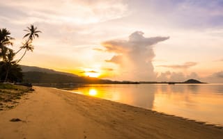Картинка пляж, закат, море, пальмы, природа, пейзаж, отдых