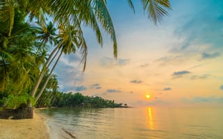 Картинка пляж, закат, пальмы, море, природа, отдых, пейзаж