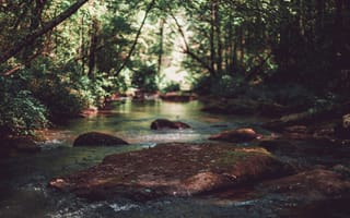 Картинка природа, река, лес, камни, вода, пейзаж, зелень, отдых, тишина, освещение