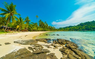 Картинка пляж, море, пальмы, природа, отдых, пейзаж, лето