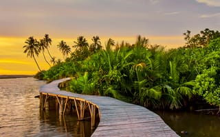 Картинка пейзаж, природа, мост, пальмы, закат, река, зелень