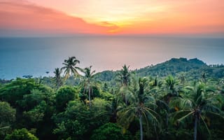Картинка пейзаж, закат, море, пальмы, природа, остров, зелень