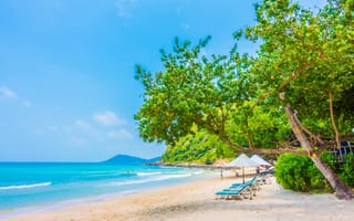Картинка пляж, море, пейзаж, отдых, природа, солнце, деревья, песок, лето, курорт