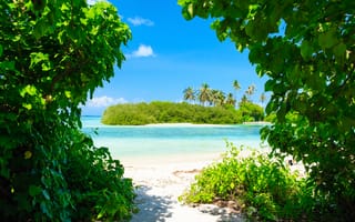 Картинка пляж, остров, природа, пальмы, море, солнце, зелень