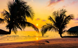 Картинка закат, пляж, пальмы, море, природа, отдых, пейзаж