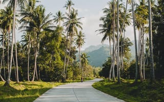 Картинка пейзаж, дорога, пальмы, природа, горы, лето, отдых