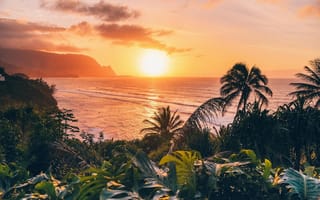 Картинка закат, море, пальмы, природа, пейзаж, отдых, тропики