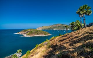 Картинка море, остров, пейзаж, пальмы, небо, корабли, природа, лето