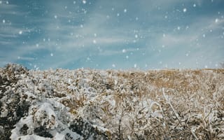 Картинка зима, снег, пейзаж, небо, природа, холода, снежный