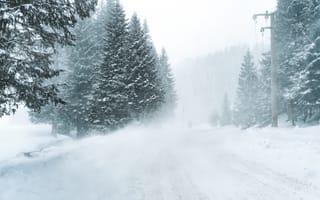 Картинка зима, снег, лес, дорога, пейзаж, природа, холод