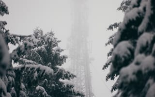 Картинка зима, снег, лес, антенна, туман, природа, пейзаж