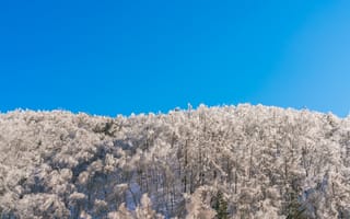 Картинка зима, снег, лес, небо, природа, пейзаж, холод