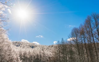 Картинка зима, солнце, лес, пейзаж, небо, снег, природа, горы, свет, деревья