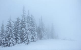 Картинка зима, снег, лес, туман, деревья, природа, пейзаж