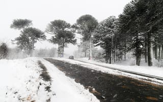 Картинка зима, снег, лес, дорога, пейзаж, природа, холод